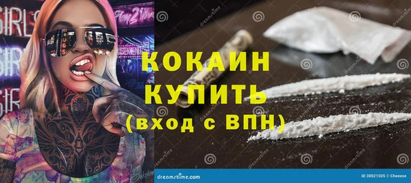 ECSTASY Богданович